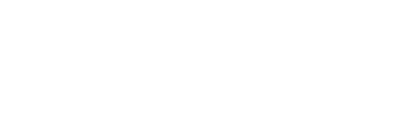 Логотип НЦФМ