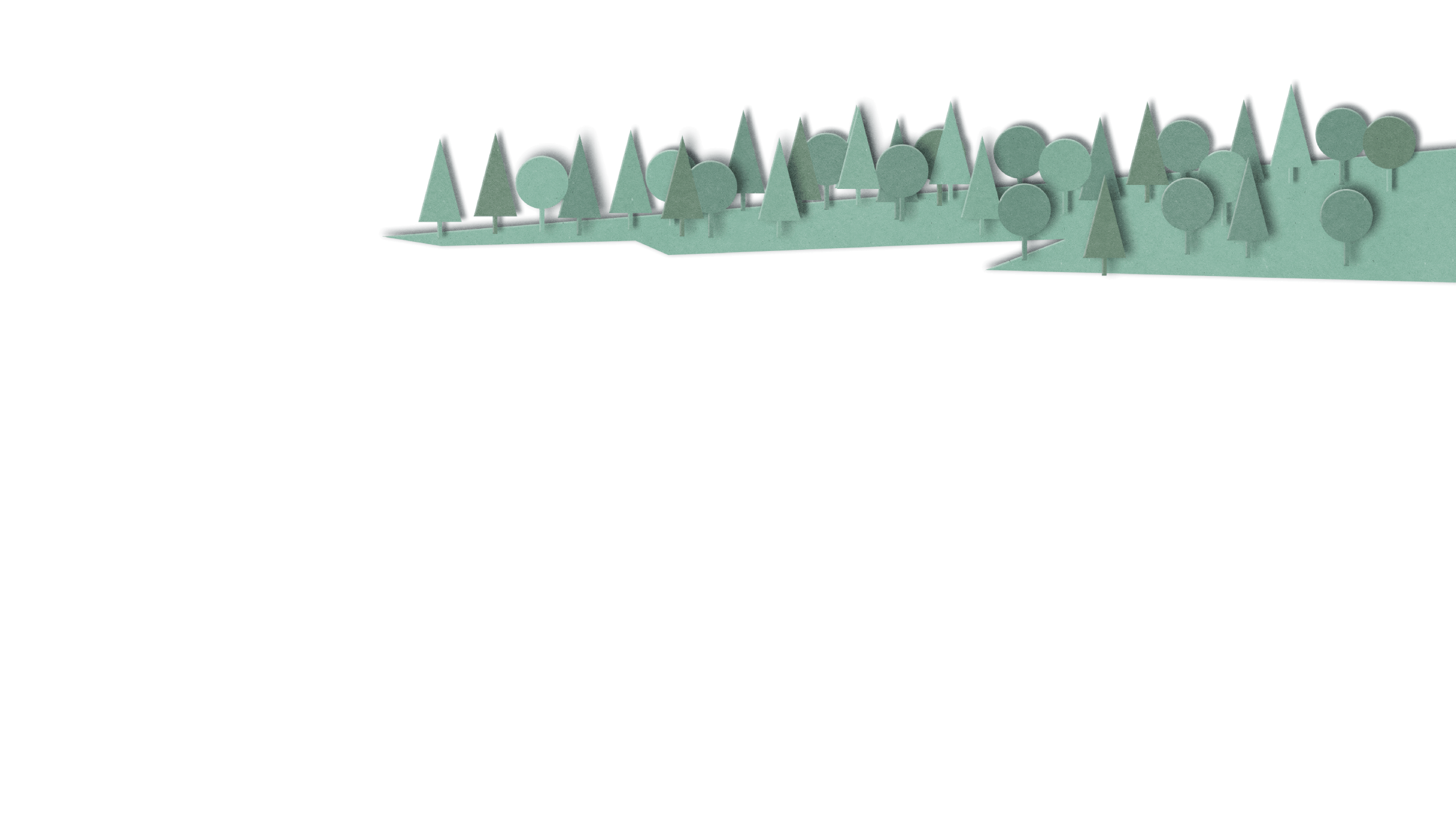 20 вопросов о социальном предпринимательстве