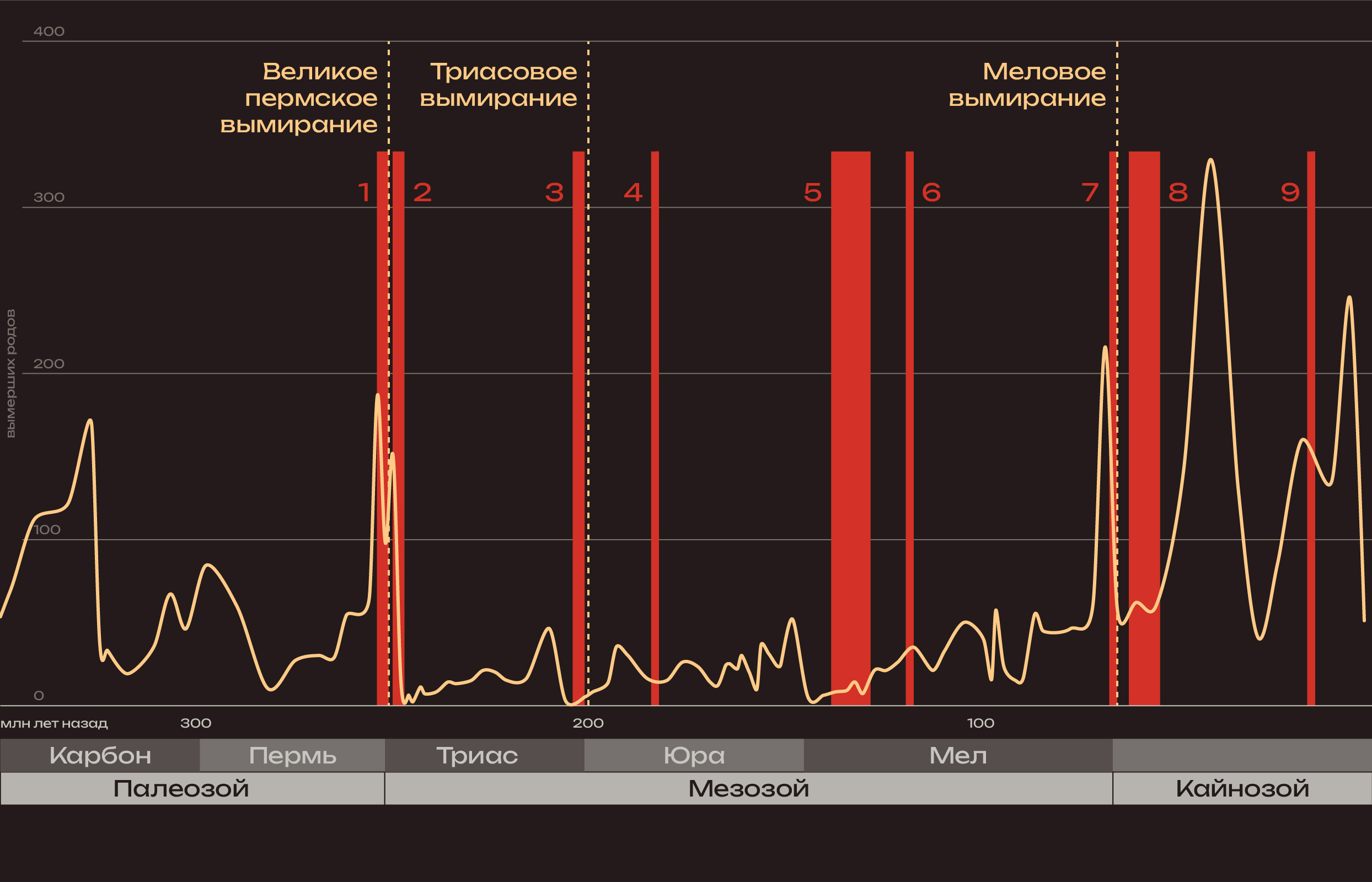 Инфографика